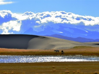 95后女孩“用花呗还借呗”：我是怎么掉进以贷养贷的漩涡里的？