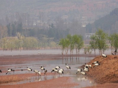 拉卡拉收款宝套花呗有风险？安出掌柜提醒合规支付更稳妥