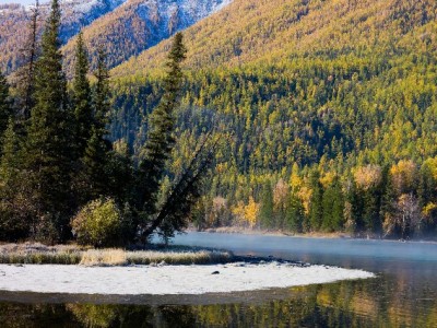 羊小咩套现会被冻结吗？风控机制+合规建议一次性说清