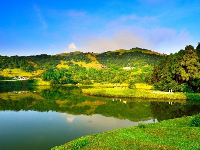 花呗套现900元反被骗？这些风险比缺钱更可怕！