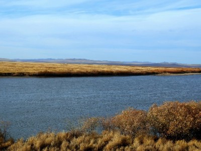 抖音月付覆盖服装商家，换季置装分期无压力轻松购