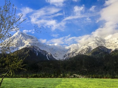 抖音月付取现功能在哪？安出掌柜教你快速操作+避坑指南