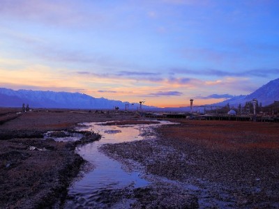 花呗提现店铺暗藏风险：虚构交易、资金损失与信用危机全解析