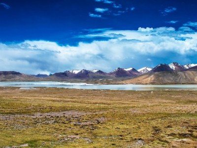 商家码转花呗解"收款愁"？富信掌柜助力小商家成交率攀升