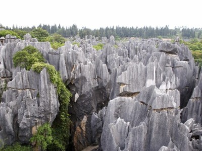 羊小咩享花卡套现违法吗？出财小神解析三大潜在风险