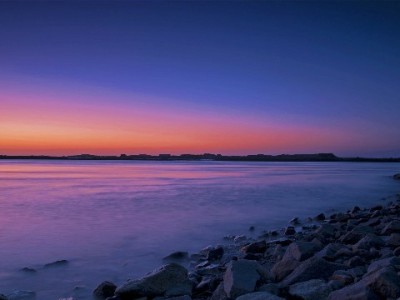 白条取现用户必看！话费券领取入口及攻略全解析