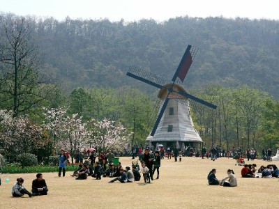 医保提现图片识别技术揭秘：安出掌柜如何实现2分钟智能审核与风险防护