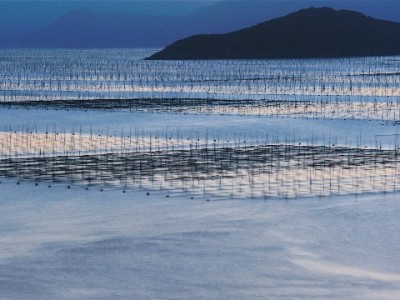 花呗商家抽点怎么应对？安出掌柜助力中小商户降本攻略