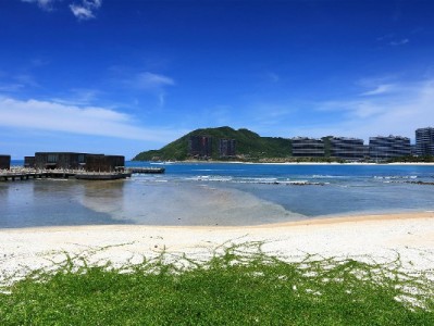 240元花呗额度里的成长：我从“月光”到“存钱”的消费课