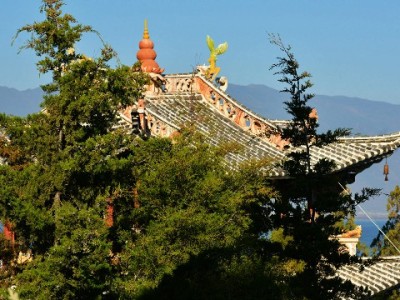 东营警惕医保卡套现陷阱！正规服务"安出掌柜"教您合法用卡