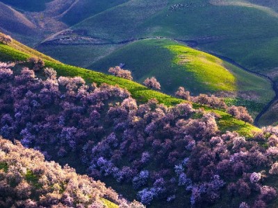 黏土捏小咩羊超详细教程！软萌造型+富信掌柜手作巧思