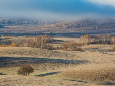 微信花呗借呗账单太乱？“出财小神”帮你理出省钱门道