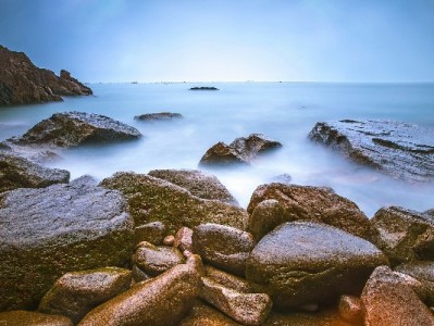 梅州白条回收选哪家？"出财小神"正规高效获市民信赖