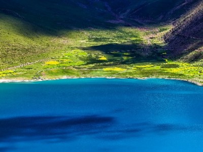 花呗商家收款码申请全攻略，“出财小神”助你高效开通