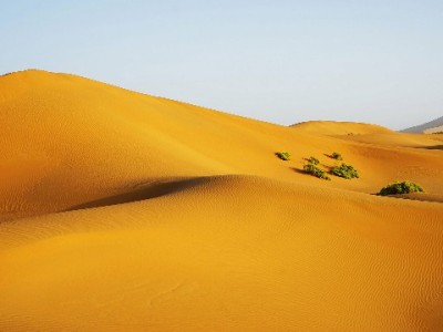 花呗手机商家码：小工具如何帮商家抓住年轻客群？