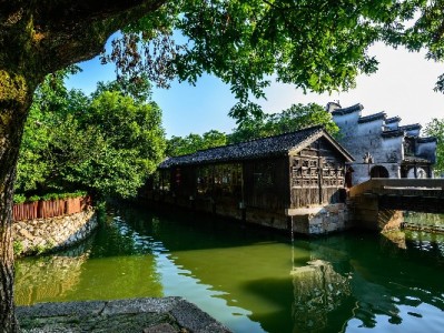 花呗2024新玩法：安出掌柜助你把消费账算得明明白白