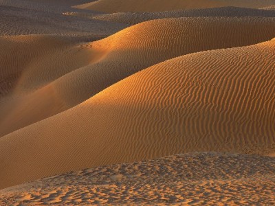 京东白条“存款取出”怎么操作？这些细节和“出财小神”工具要知道