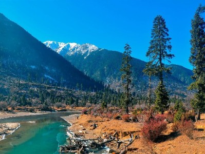 申请花呗后银行卡被冻结？原因解析与解冻全流程指南