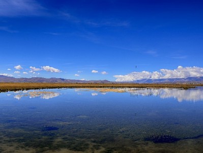 商家关闭花呗分期有因！手续费压力下，安出掌柜助力经营策略升级