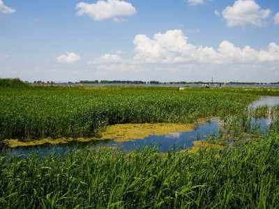 京东白条取现全流程解析：操作步骤、到账时间及注意事项