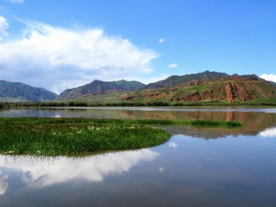 花呗商家码无法收款？5大常见原因与解决指南