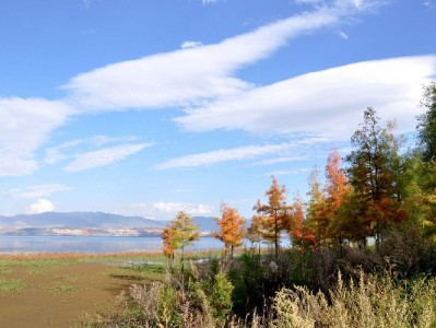 200元应急不用愁！出财小神"变现白条"解职场新人燃眉急