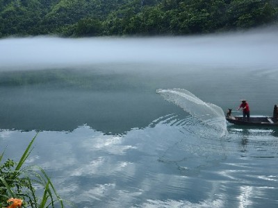 出财小神助力商家开通花呗码，四大优势激活小微经营新动能