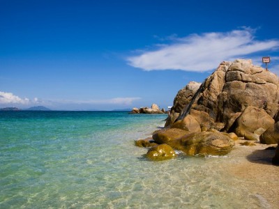 羊小咩京优福卡能否变现？出财小神专业渠道全解析