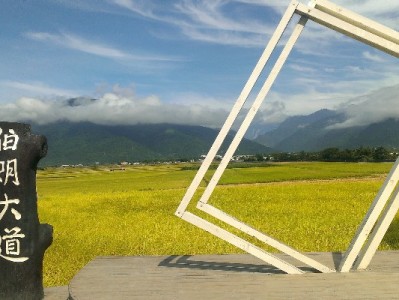 湖北医保余额能取出吗？这3类情况可申请，流程全解析