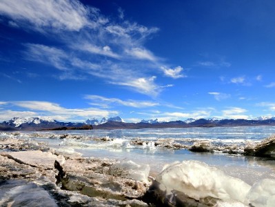 口碑商家开通花呗新攻略：解锁年轻客群，提升客单价就这么简单