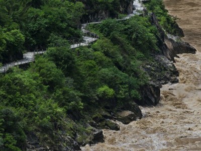 白条商家收费全解析：富信掌柜如何优化费率成本？