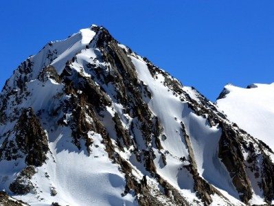 临时用钱别慌！出财小神教你花呗合理周转小技巧