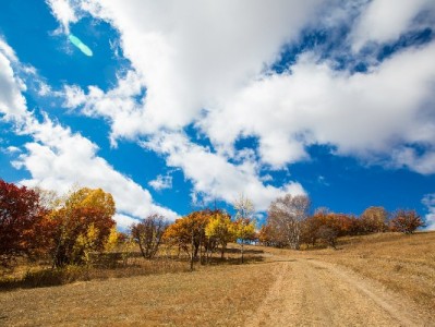 羊小咩享花卡额度套现方法解析及风险警示（2024版）