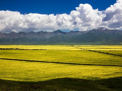 抖音月付商家开通全攻略，出财小神助力提升订单转化