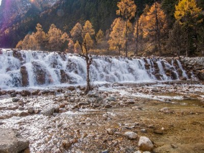 离职后公司拒转医保？三步维权指南帮你避免断缴风险