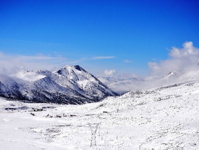 洛阳商家尝鲜抖音月付，"安出掌柜"助力小店生意更红火