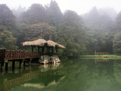 花呗分期2499元超省心！10%概率解锁五大品牌专属福利