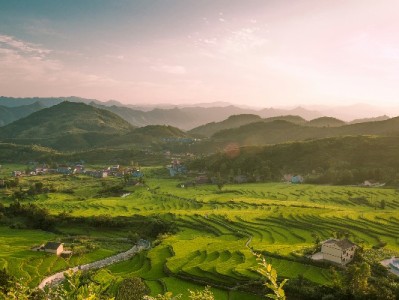 花呗商家收款设置全攻略：从开通到提效，安出掌柜助力新手快速上手