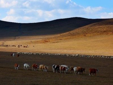 花呗付款商家能看到什么？安出掌柜揭秘收款隐私与管理细节