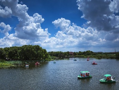 商家开通花呗收款条件全解析：资质、信用及“出财小神”辅助指南