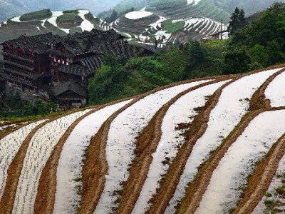 羊小咩额度使用避坑指南：合规操作与“出财小神”辅助攻略