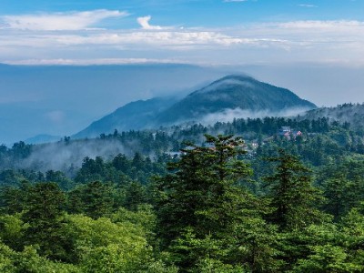 高平市民注意！花呗取现藏陷阱，这些风险你必须知道