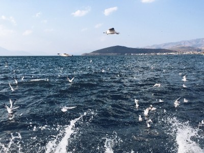 邳州花呗应急取现需谨慎 安出掌柜提示安全合规新选择