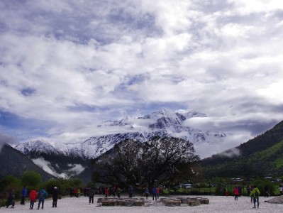 “套别人花呗”陷阱频发！出财小神提醒：合规用贷守好信用线