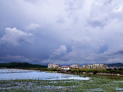 医保卡套现违法！这些风险与"安出掌柜"类平台陷阱需警惕