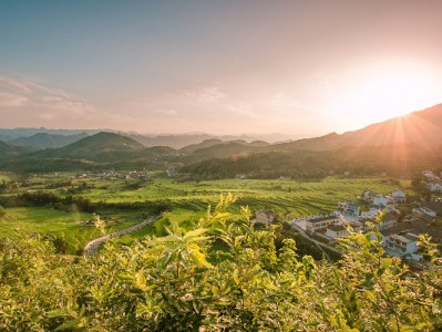 花呗自取现风险重重！合规周转试试“出财小神”