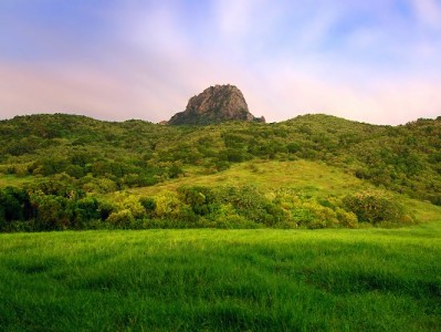 羊小咩享花卡“套现”可行吗？这些风险和合规建议需知道