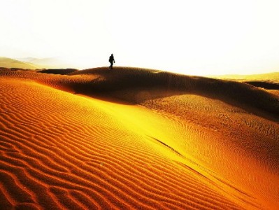 抖音月付秒到功能上线！商家收款提速，经营更灵活