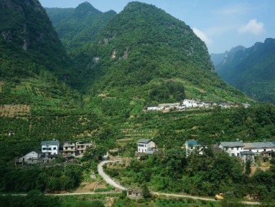 抖音月付解采购愁！“出财小神”文件柜分期成企业新宠