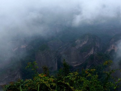 白条取现怎么申请？操作步骤+费用细节一文讲清